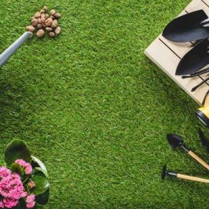 Understanding Fertilizers for Your Garden