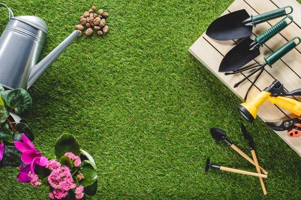 Understanding Fertilizers for Your Garden